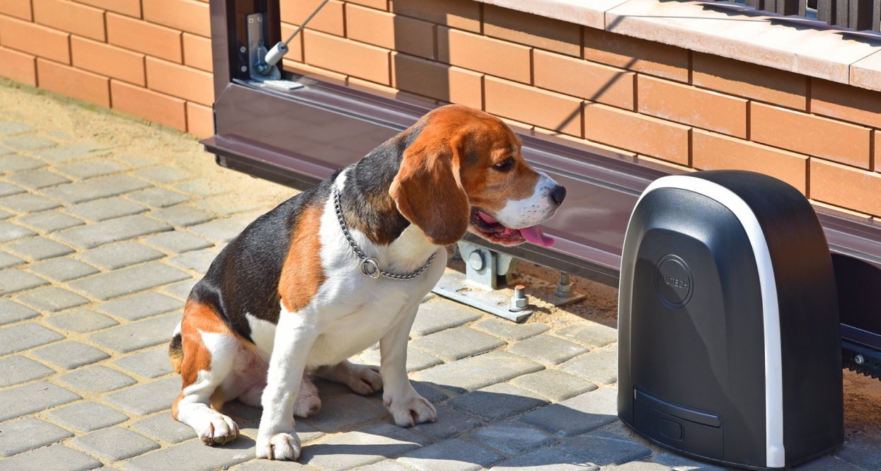 Въездные ворота